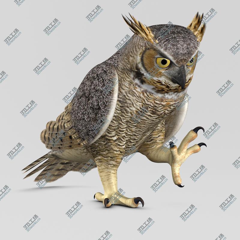 images/goods_img/20210319/Great Horned Owl  Folded Wings/4.jpg